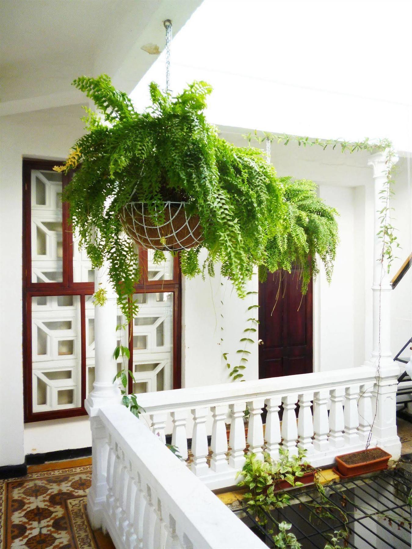 Hotel Santa Cruz Cartagena Buitenkant foto
